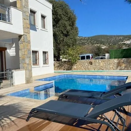 2-bedroom Flat With A Private Swimming Pool 公寓 博德鲁姆